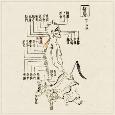 陶道