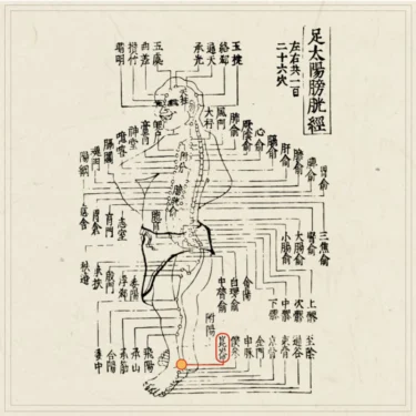 2025年8月｜伝統鍼灸 楓庵