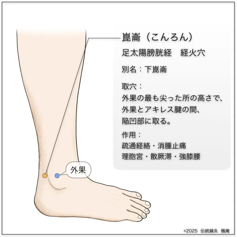 中国鍼灸学術史大網 41jeanQYwJL._AC_SY200_QL15_.jpg