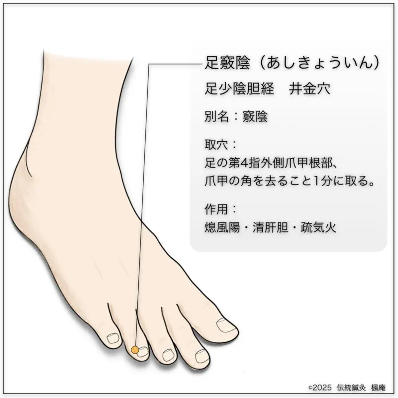 経穴】足竅陰｜伝統鍼灸 楓庵