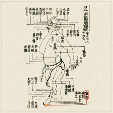 足竅陰