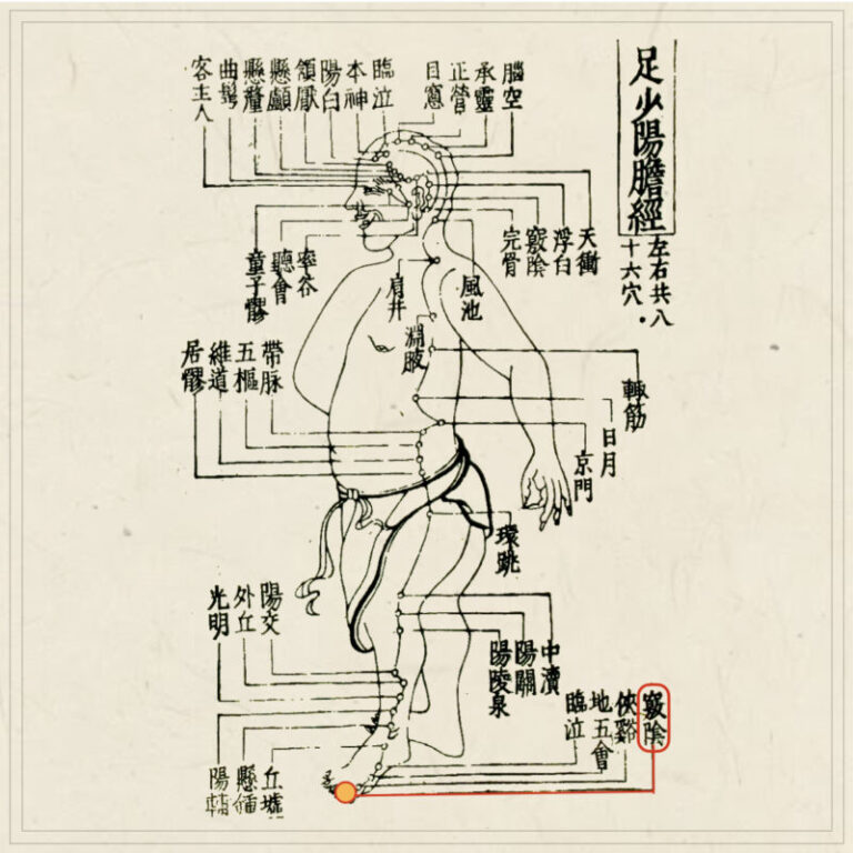 経穴】足竅陰｜伝統鍼灸 楓庵