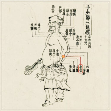 会宗