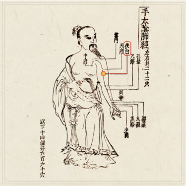 侠白