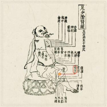 築賓