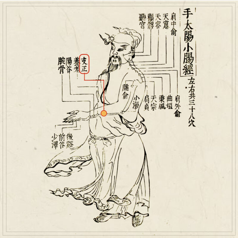 【経穴】支正
