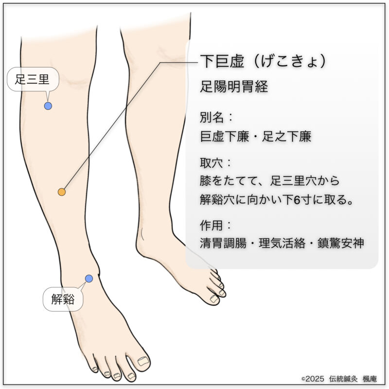 下巨虚