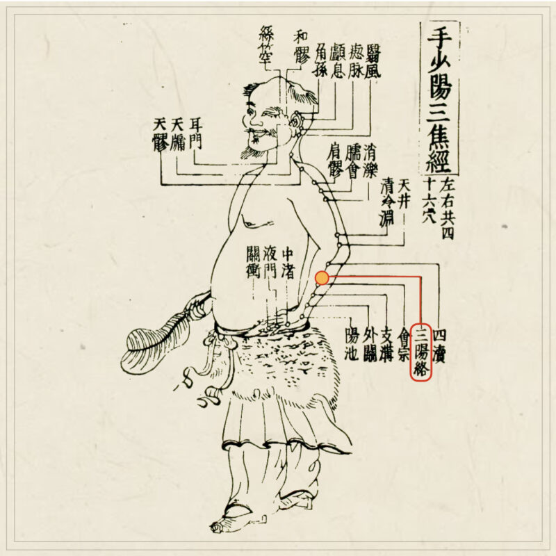 【経穴】三陽絡