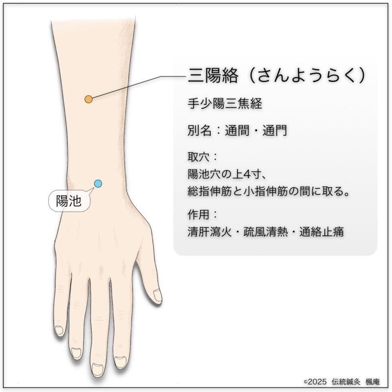 三陽絡