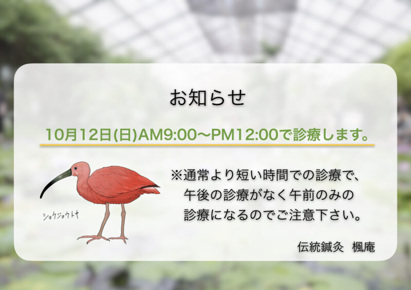 【お知らせ】10月12日(日)の診療について
