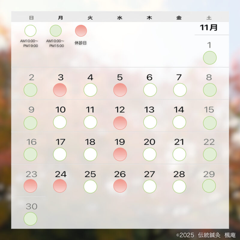 【お知らせ】2025年11月の診療について