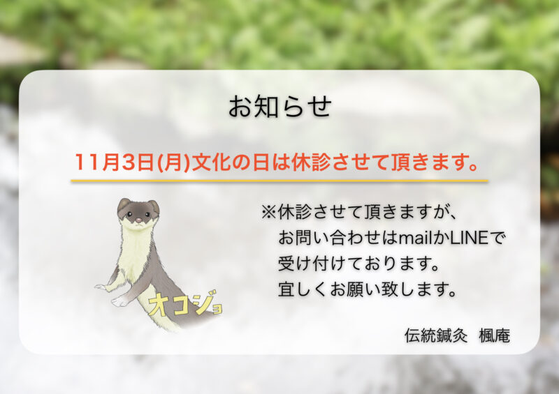 【お知らせ】11月3日(月)文化の日について