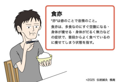 【東洋医学用語】食亦
