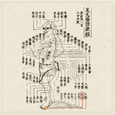 【経穴】足通谷