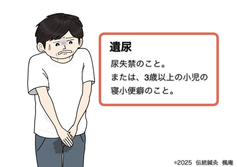 【東洋医学用語】遺尿