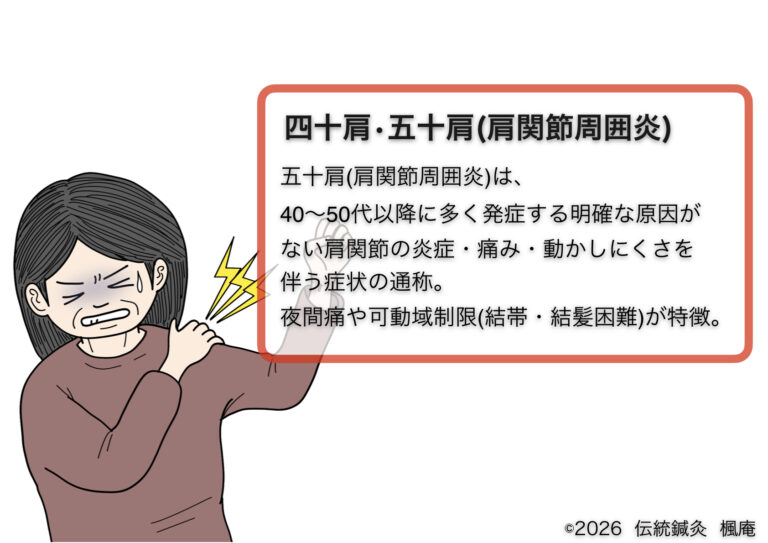 IMG_1632-768x543.jpeg
