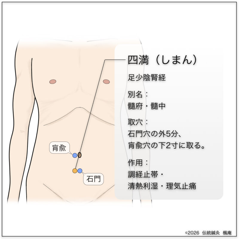 経穴】四満 | 伝統鍼灸楓庵｜大阪府吹田市の伝統鍼灸院